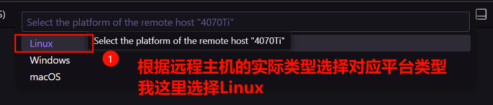 image-20240608123323664